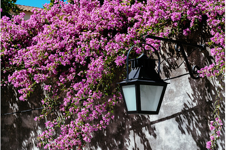 Cozy street of Evora with