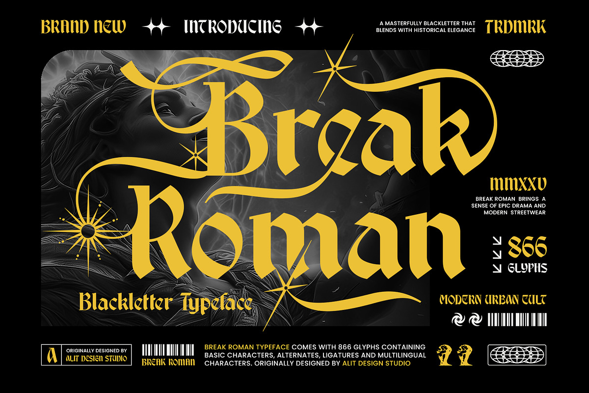 Break Roman Typeface, a Blackletter Font by alit design (Photo 1 of 17)