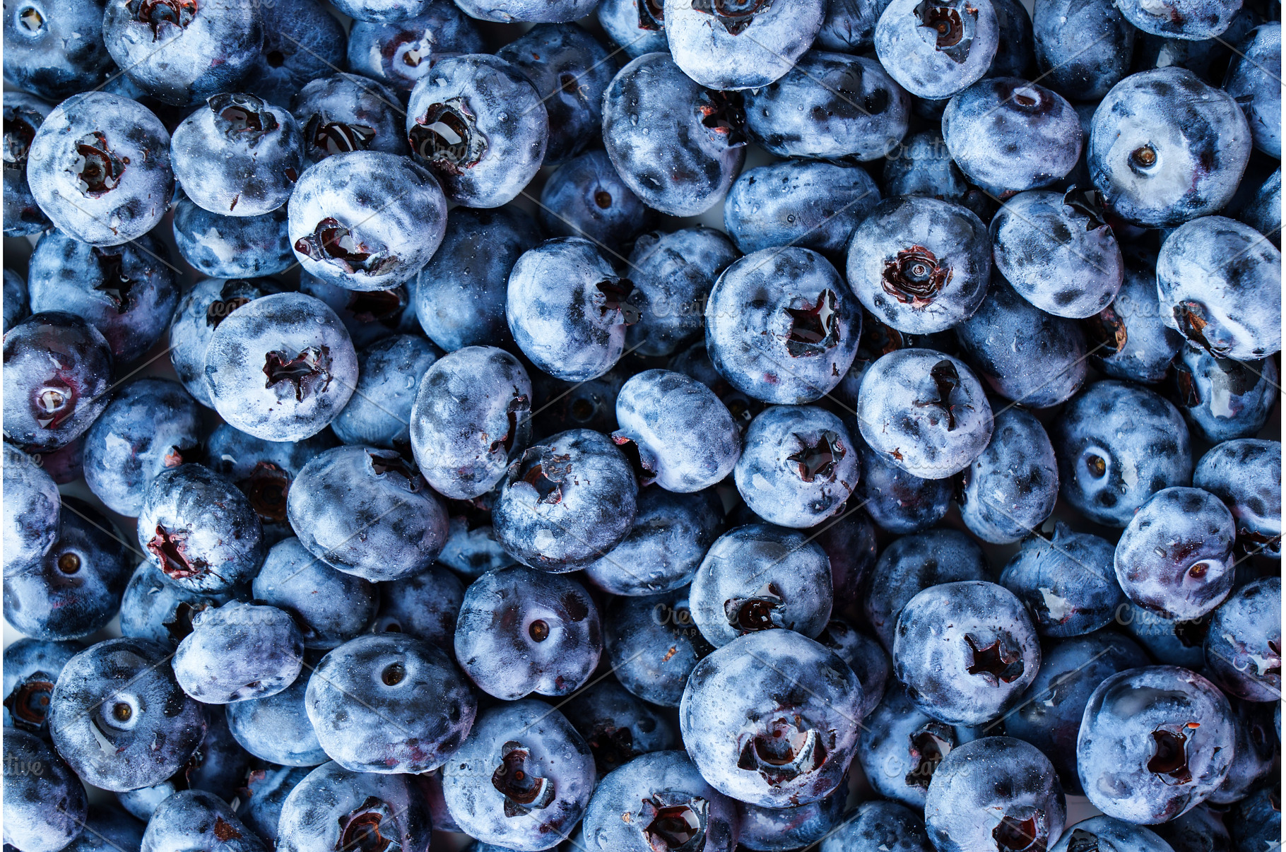 Blueberry. Fresh blueberries texture, a Food & Drink Photo by Nadia-nb
