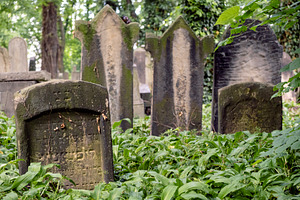 Old abandoned jewish cemetery, an Architecture Photo by BOOCYS