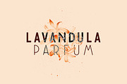 NovaDeco Type Family, a Sans Serif Font by Types and Boats (Thumbnail 1 of 10)