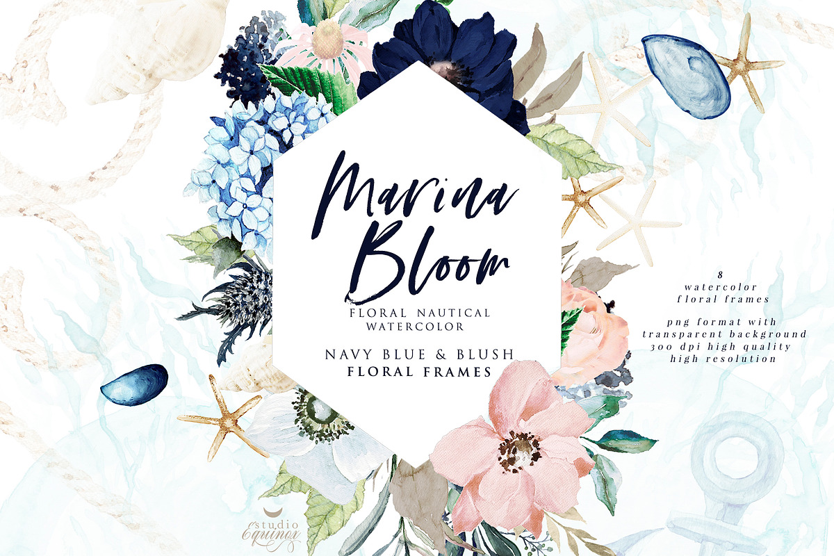 Marina Bloom - Nautical Graphic Set, an Object Graphic by studioequinox (Photo 6 of 23)