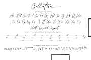 Collection - NEW STYLE, a Script Font by alphArtype (Thumbnail 14 of 16)