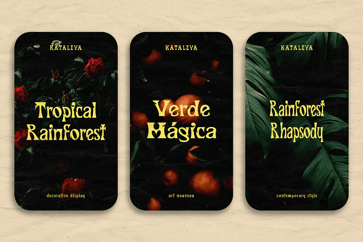 CF Kataleya - Art Nouveau Display, a Sans Serif Font by Indotype Foundry (Photo 3 of 10)