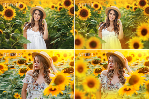 Sunflower Fields Photo Overlays