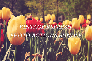 Vintage Refresh Photo Actions Bundle