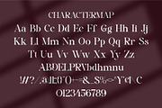Breva || Modern Line Serif Font, a Serif Font by Ermedia Studio (Thumbnail 10 of 10)