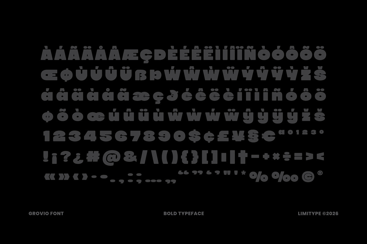 Grovio - Bold Dsiplay Font, a Sans Serif Font by limitype (Photo 11 of 12)