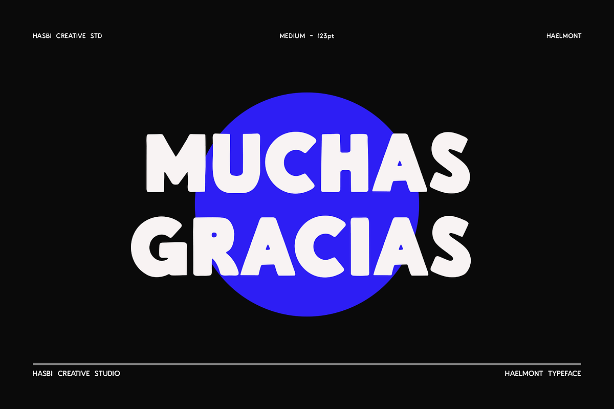 Haelmont - Handwritten Sans Serif, a Sans Serif Font by Hasbi Creative (Photo 8 of 8)