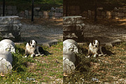 30 Old Days Lightroom Collection, a Preset Add-On by 3Motional (Thumbnail 9 of 11)