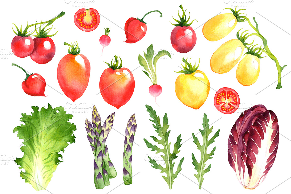 30% Off! Fruits + Vegetables + Herbs, a Food Illustration by Evgeniia Zagreeva (Photo 8 of 12)