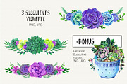 Watercolor Succulent Collection, an Object Illustration by Olga Alexeenko (Thumbnail 5 of 7)