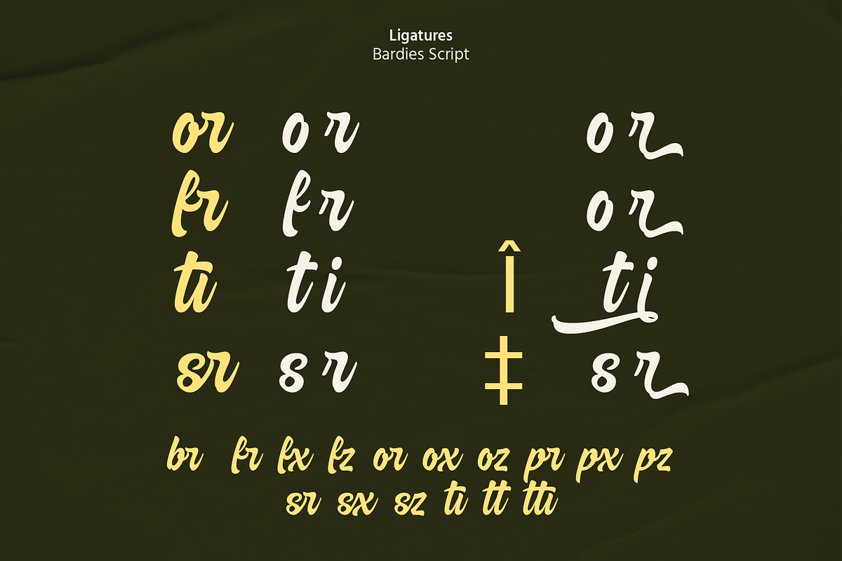 Bardies Bold Script Font, a Script Font by Pipello Grafik (Photo 8 of 11)
