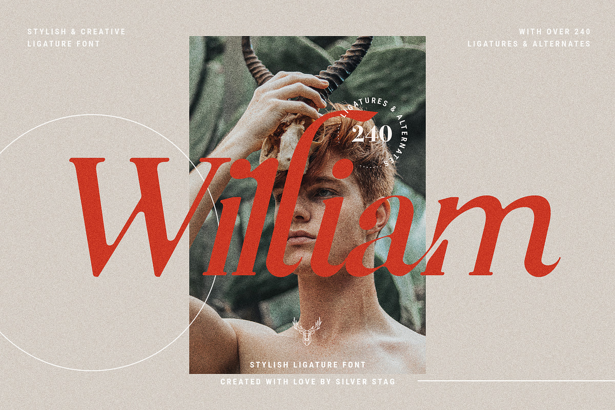 Charles - Ligature Serif Font Family, a Serif Font by SilverStag Type Foundry (Photo 5 of 32)