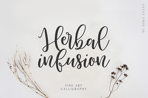 Herbal Infusion preview 8