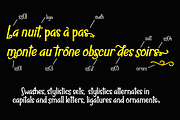 Nuit Family, a Script Font by Eurotypo (Thumbnail 3 of 4)