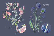 Vintage Flower Illustrations Bundle, an Illustration by Greta Ivy (Thumbnail 62 of 62)
