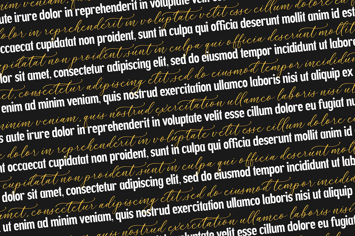 Askenild Kimortega Modern Font Duo, a Serif Font by Storytype Studio (Photo 6 of 14)