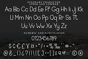 MICROPHONE, a Sans Serif Font by FreshTypeINK (Thumbnail 4 of 8)