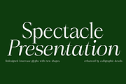 Marvelous, a Serif Font by InkwellTypeCo (Thumbnail 8 of 11)