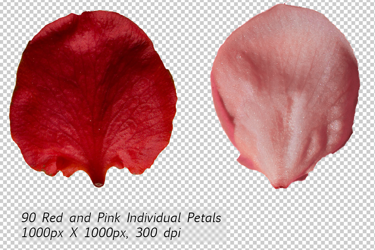 5K Petals Overlays, an Object Graphic by ArtPlanet (Photo 2 of 12)