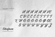 Sholjum, a Script Font by ilhamtaro (Thumbnail 10 of 11)