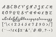 Agrish, a Script Font by Digital Typeface Studio (Thumbnail 4 of 4)