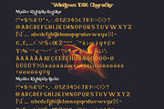 Master Righinta, a Serif Font by TM Type (Thumbnail 12 of 15)