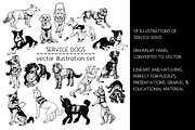 Service dogs - vector illustrations, an Animal Illustration by Renée from Studio neetje (Thumbnail 2 of 4)