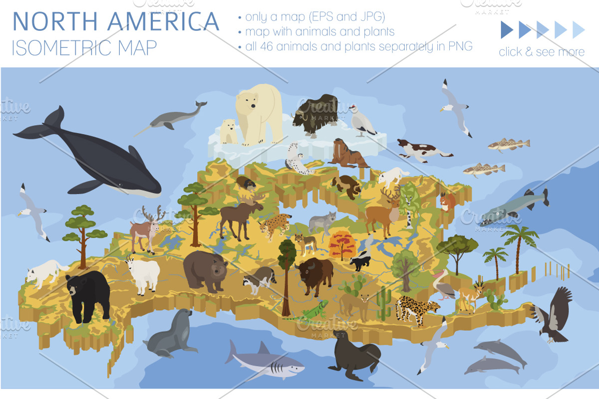 North America isometric map, an Animal Illustration by pet design shop (Photo 1 of 5)