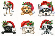 Christmas Peeking Dog Breeds Clipart, an Illustration by OK Design (Thumbnail 4 of 5)