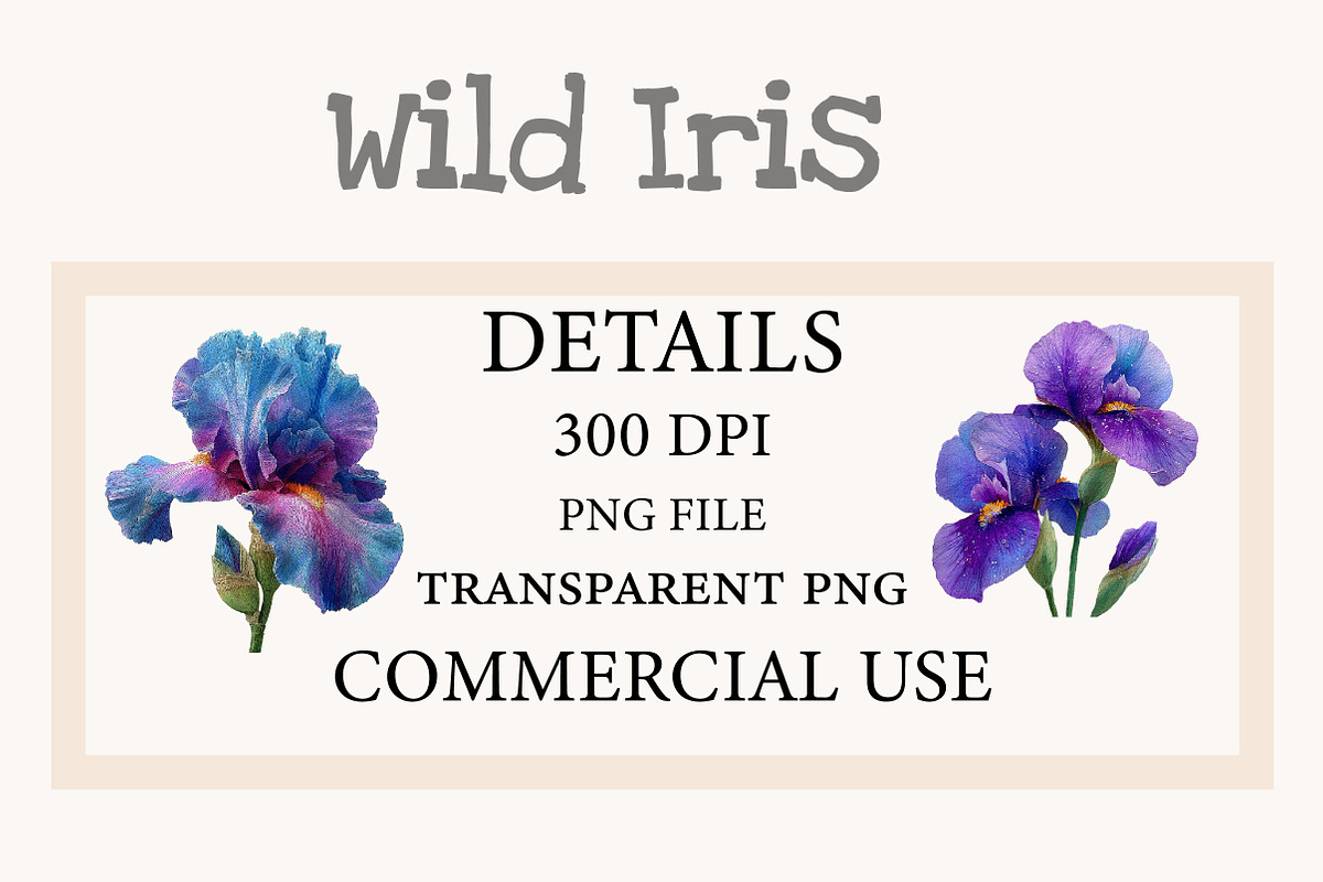 Wild Iris Clipart, an Illustration by Designworld (Photo 2 of 10)