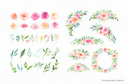 Ella's Blooms - Watercolor Flowers, an Illustration by Carousellerie Creative (Thumbnail 4 of 4)