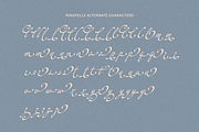 Rinapelle - Vintage Script Font, a Script Font by Get Studio (Thumbnail 15 of 15)