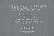Bristany Signature Font, a Script Font by Multype Studio (Thumbnail 5 of 7)