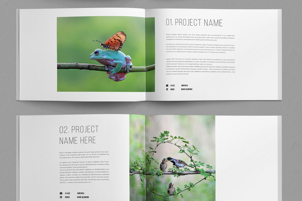 Botanical Magazine, a Magazine Template by ContestDesign (Photo 3 of 5)