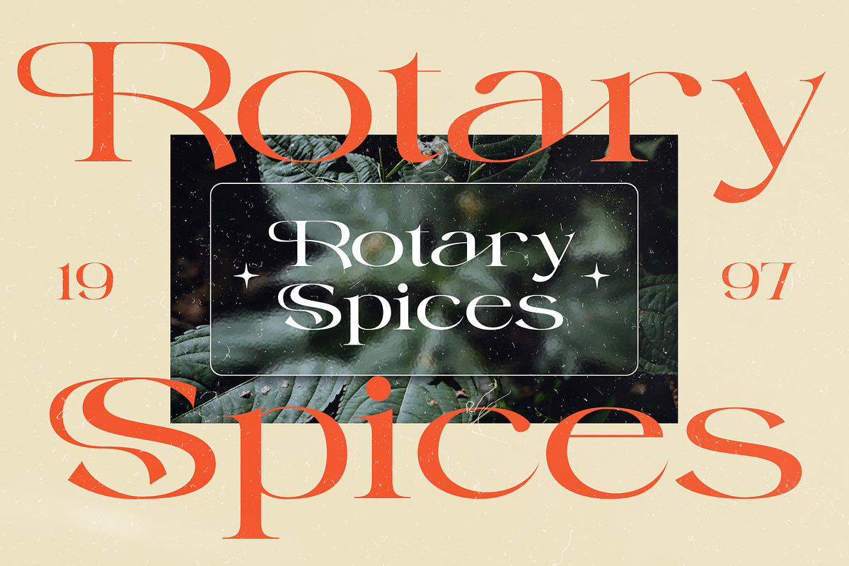 Repath, a Serif Font by Nathatype (Photo 7 of 10)