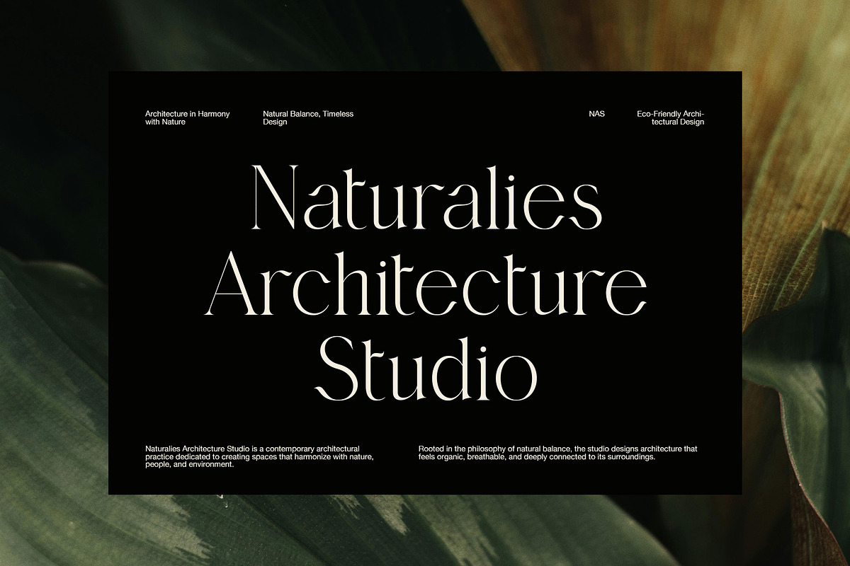 Cingire Elegant Serif Font, a Serif Font by Graphicxell (Photo 3 of 8)