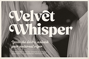 Beckenham Retro Serif, a Font by Fenotype (Thumbnail 4 of 14)