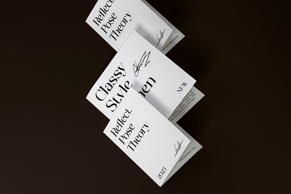 Ginka Voraxe – Modern Stylish Serif, a Serif Font by Mahesans Co (Photo 5 of 11)
