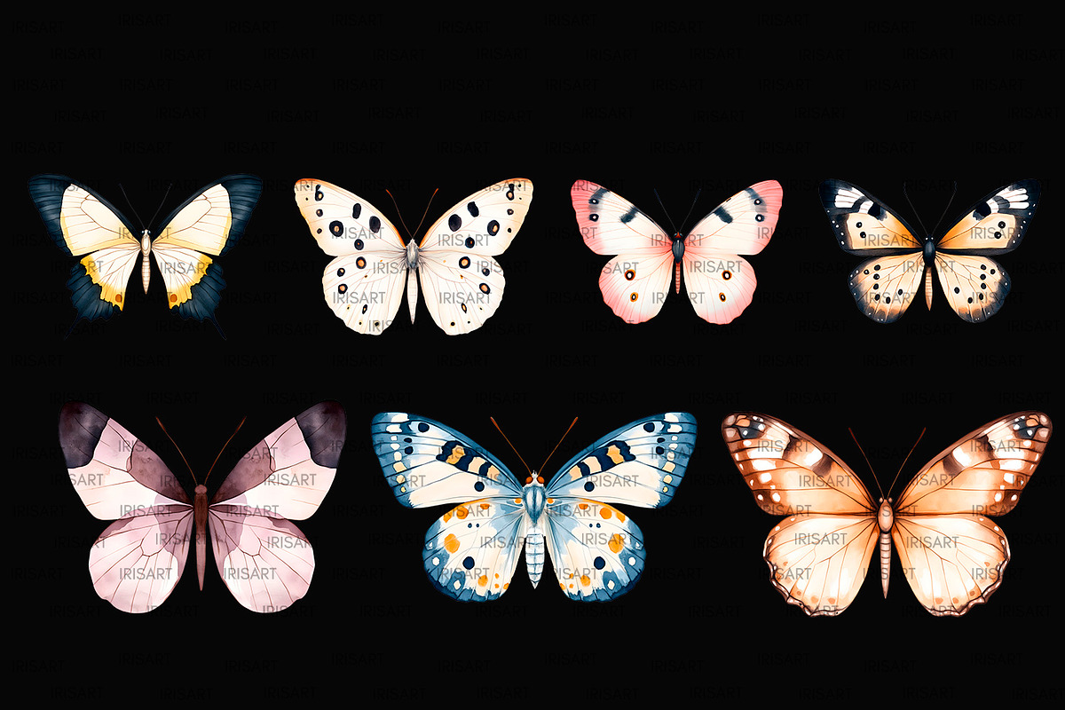 Boho Butterflies Collection, an Illustration by ArtIrisArt (Photo 9 of 9)