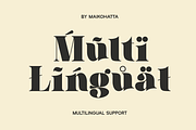 Aelica - Elegant Serif Font, a Serif Font by MaikoHatta (Thumbnail 10 of 10)