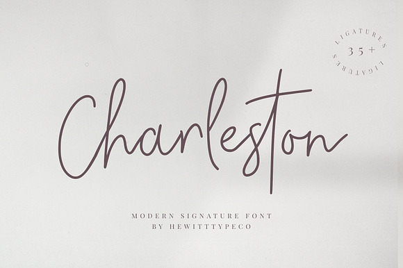 Charleston (70% off ) preview 8