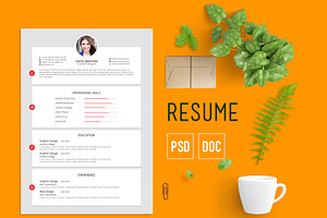 Flat Resume 