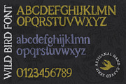 Wild Bird Hand Crafted Font, a Handwritten Font by AnMark (Thumbnail 4 of 12)