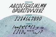 Yellow Canary Font, a Script Font by Hello Brio (Thumbnail 3 of 4)