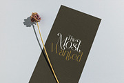 Rangin Modern Serif Font, a Serif Font by Perfectype (Thumbnail 7 of 8)