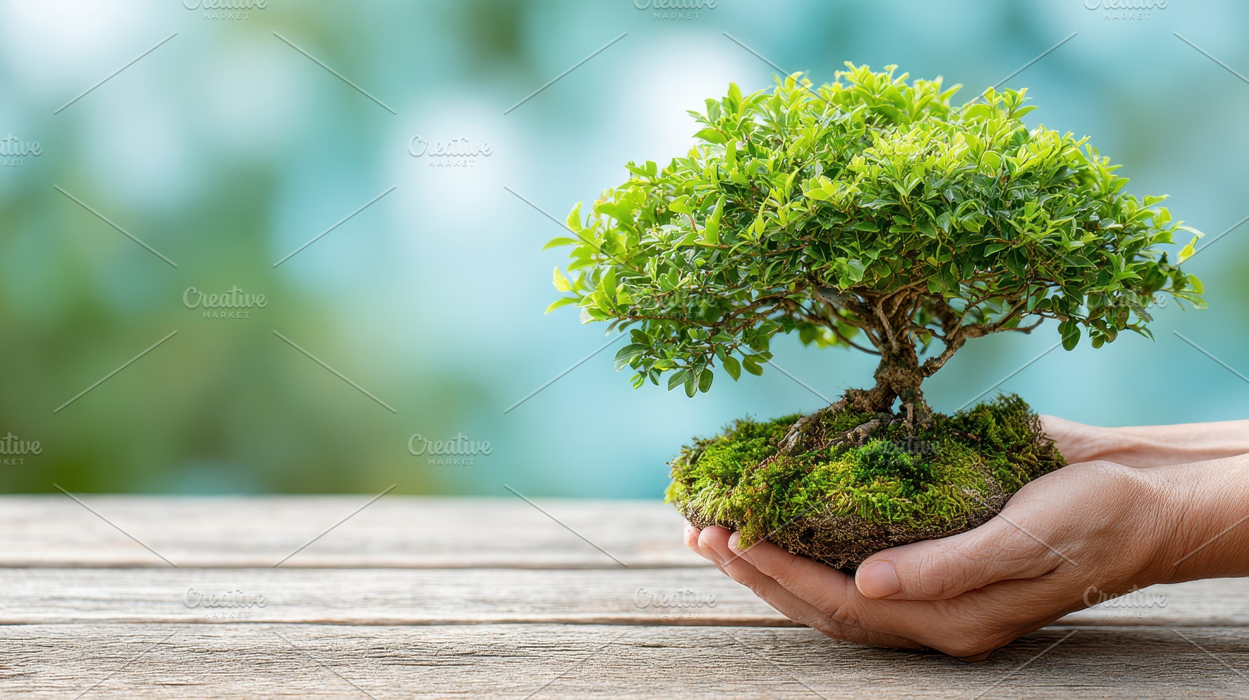 Hands holding small bonsai tree natu, a Photo by Pixeness Studio