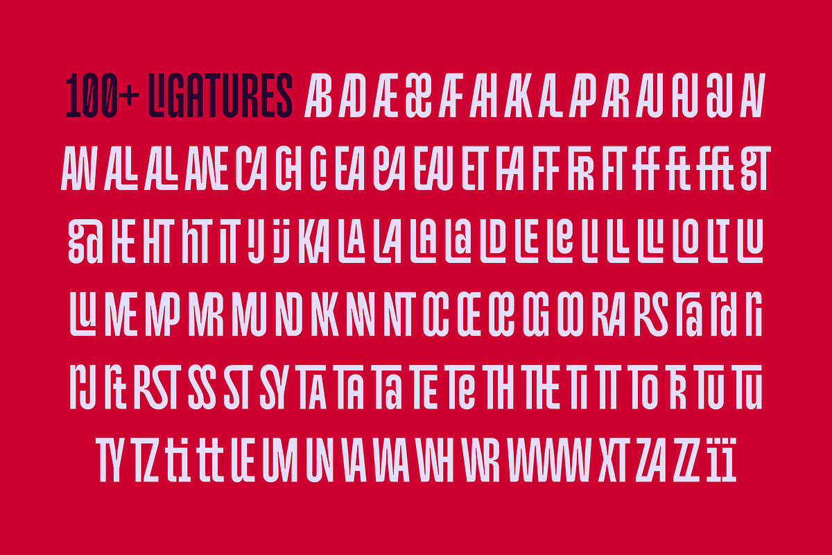 Monologue Font, a Sans Serif Font by Halfmoon Type (Photo 11 of 11)