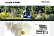Catch Evolution Pro, a WordPress Template by Catch Themes (Thumbnail 1 of 4)
